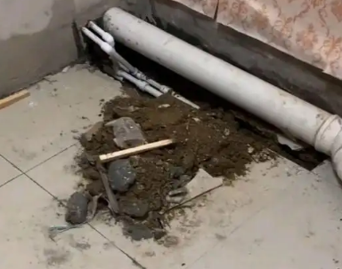 白朗卫生间漏水检测哪家好