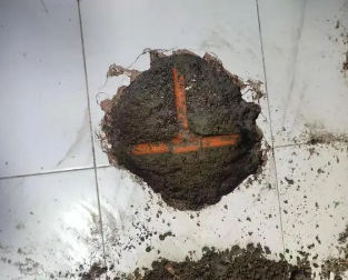 白朗查漏水多少钱