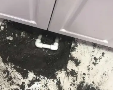 白朗查漏水哪家好