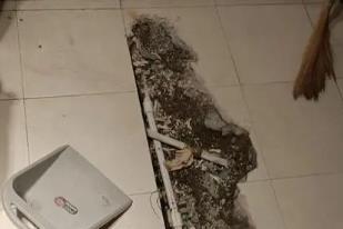 白朗卫生间漏水检测电话